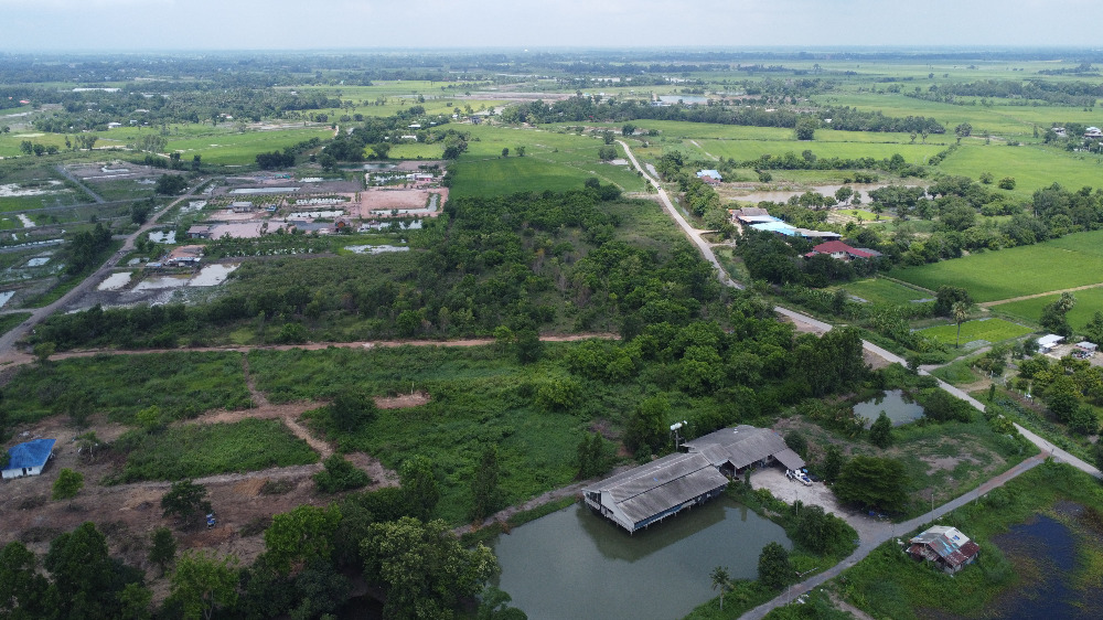 ขายที่ดินนครนายก : ที่ดินนครนายก 25 ไร่ ถนนรังสิต-นครนายก อยู่ในซอยกร่างพัฒนา (ซอยประสงค์ดี-ท่าช้าง) เพียง 500 เมตร  ติดถนนคอนกรีต