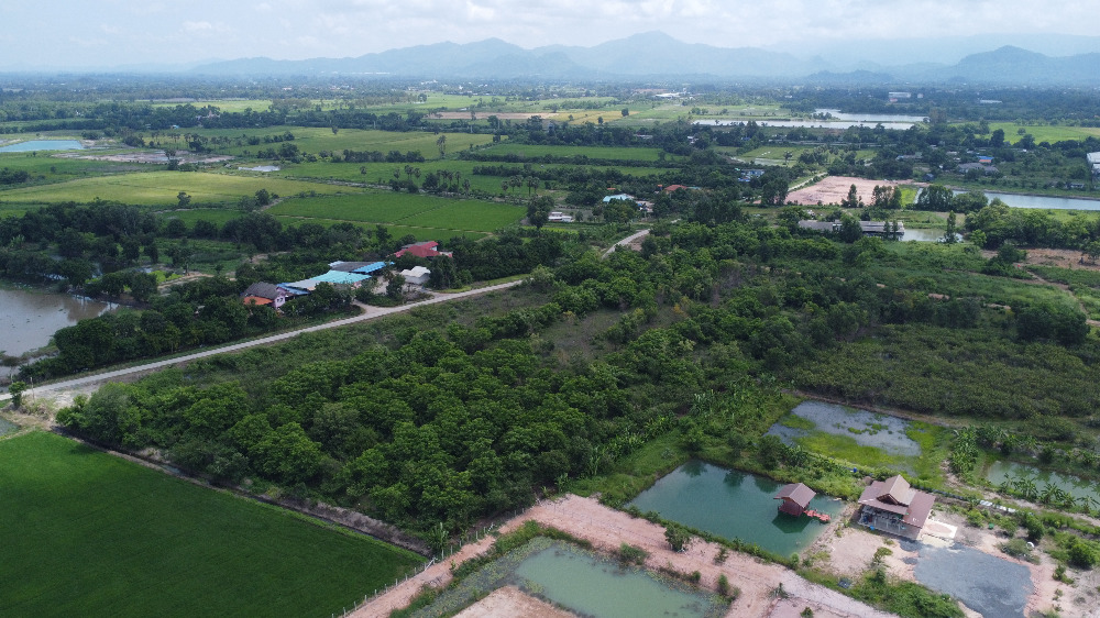 ขายที่ดินนครนายก : ที่ดินนครนายก 25 ไร่ ถนนรังสิต-นครนายก อยู่ในซอยกร่างพัฒนา (ซอยประสงค์ดี-ท่าช้าง) เพียง 500 เมตร  ติดถนนคอนกรีต