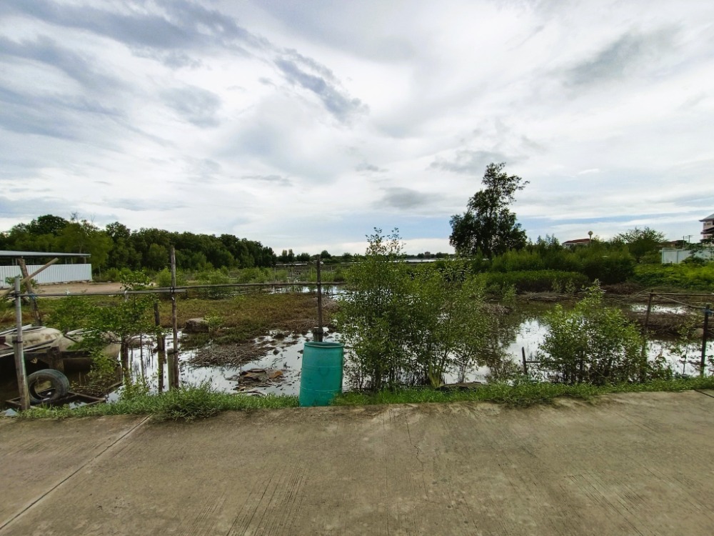 For SaleLandSamut Prakan,Samrong : Land for sale, 300 Square Wah, Soi Thetsaban Bang Pu 126 (Soi Khlong Ta Kok), Bang Pu Subdistrict, Mueang Samut Prakan District, Samut Prakan.