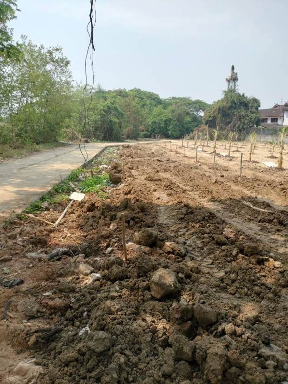 For SaleLandChiang Mai : Land for sale 157 square wah in Santi village. Adjacent to concrete, there is water and electricity. with neighbors . .