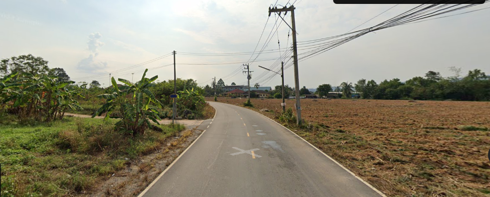 ขายที่ดินระยอง : ขายที่ดิน ที่ดินหน้ากว้าง ใจกลางบ้านฉาง, ระยอง ขนาด: 5-3-31 ไร่ ห่างจากถนนใหญ่เพียง 250 เมตร