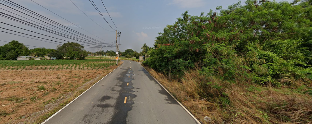 ขายที่ดินระยอง : ขายที่ดิน ที่ดินหน้ากว้าง ใจกลางบ้านฉาง, ระยอง ขนาด: 5-3-31 ไร่ ห่างจากถนนใหญ่เพียง 250 เมตร