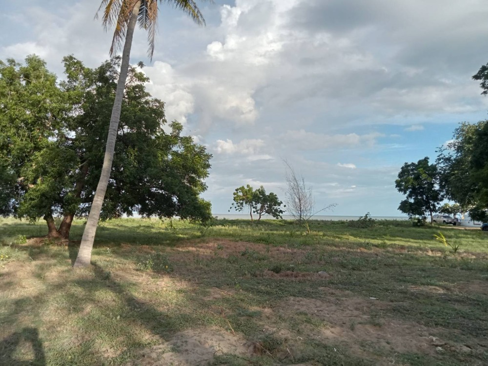 ขายที่ดินหัวหิน ประจวบคีรีขันธ์ : ขายที่ดิน ติดทะเล ที่ดินหน้ากว้าง ขนาด: 4-3-42 ไร่ กุยบุรี,ประจวบคีรีขันธ์