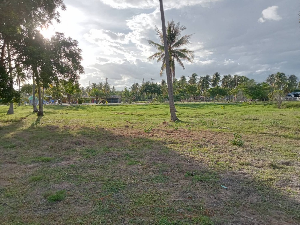 ขายที่ดินหัวหิน ประจวบคีรีขันธ์ : ขายที่ดิน ติดทะเล ที่ดินหน้ากว้าง ขนาด: 4-3-42 ไร่ กุยบุรี,ประจวบคีรีขันธ์