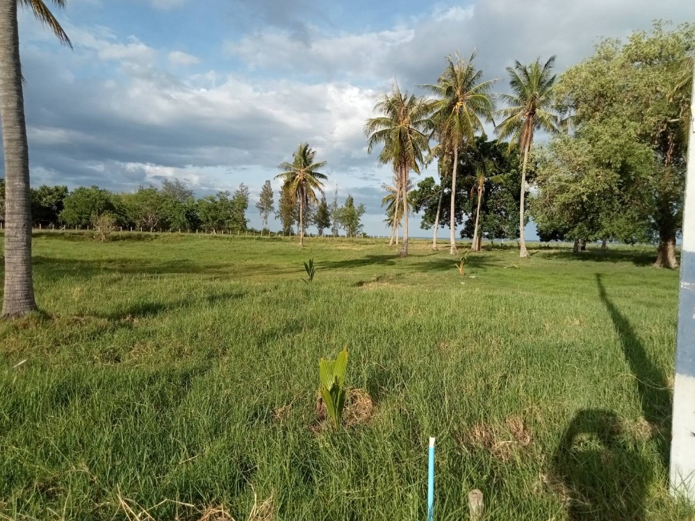 ขายที่ดินหัวหิน ประจวบคีรีขันธ์ : ขายที่ดิน ติดทะเล ที่ดินหน้ากว้าง ขนาด: 4-3-42 ไร่ กุยบุรี,ประจวบคีรีขันธ์