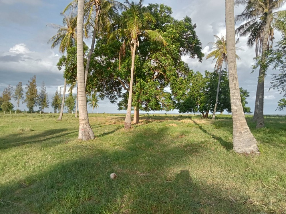 ขายที่ดินหัวหิน ประจวบคีรีขันธ์ : ขายที่ดิน ติดทะเล ที่ดินหน้ากว้าง ขนาด: 4-3-42 ไร่ กุยบุรี,ประจวบคีรีขันธ์