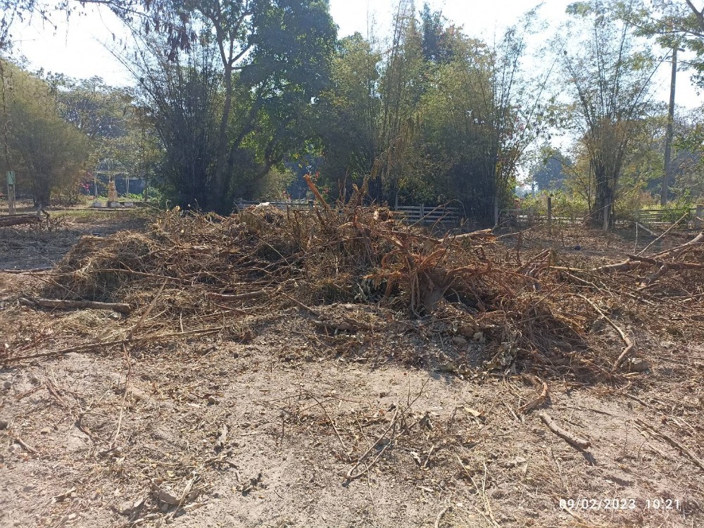 For SaleLandChiang Mai : Land for Sale - Riverside Land, San Sai, Chiang Mai