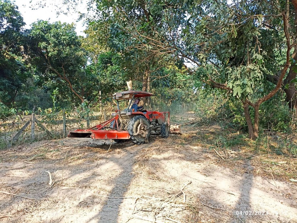 For SaleLandChiang Mai : Land for Sale - Riverside Land, San Sai, Chiang Mai