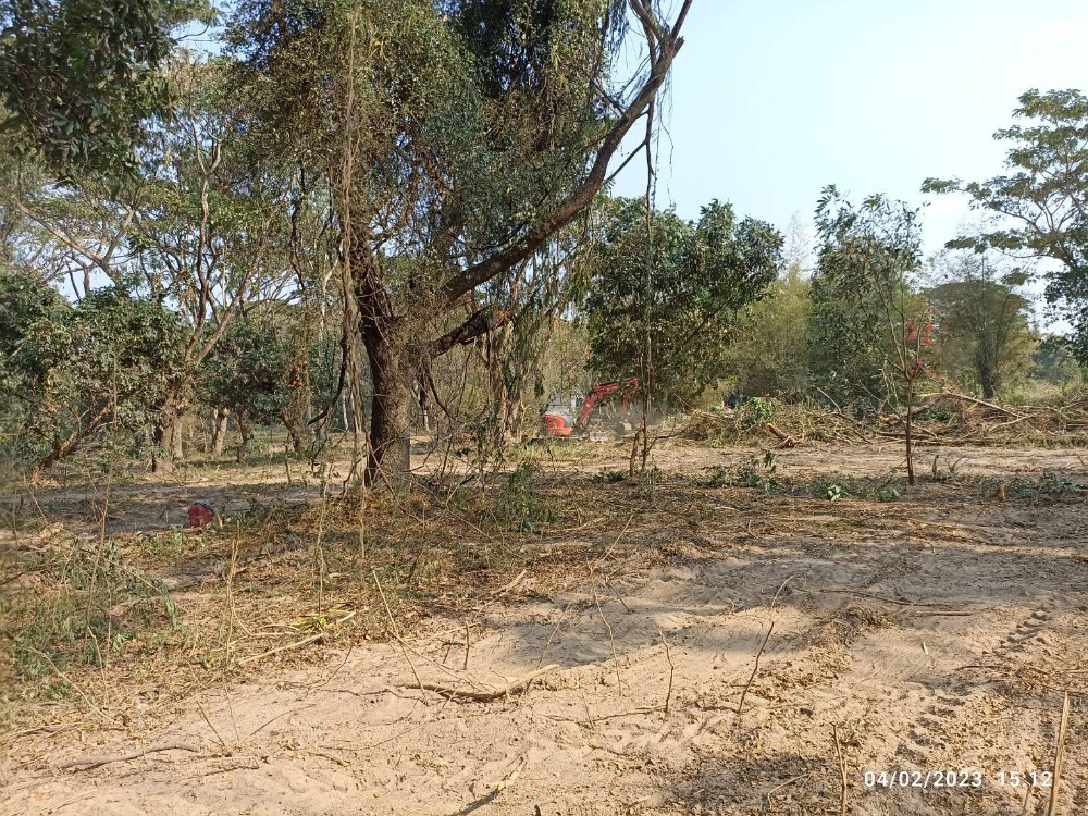 For SaleLandChiang Mai : Land for Sale - Riverside Land, San Sai, Chiang Mai