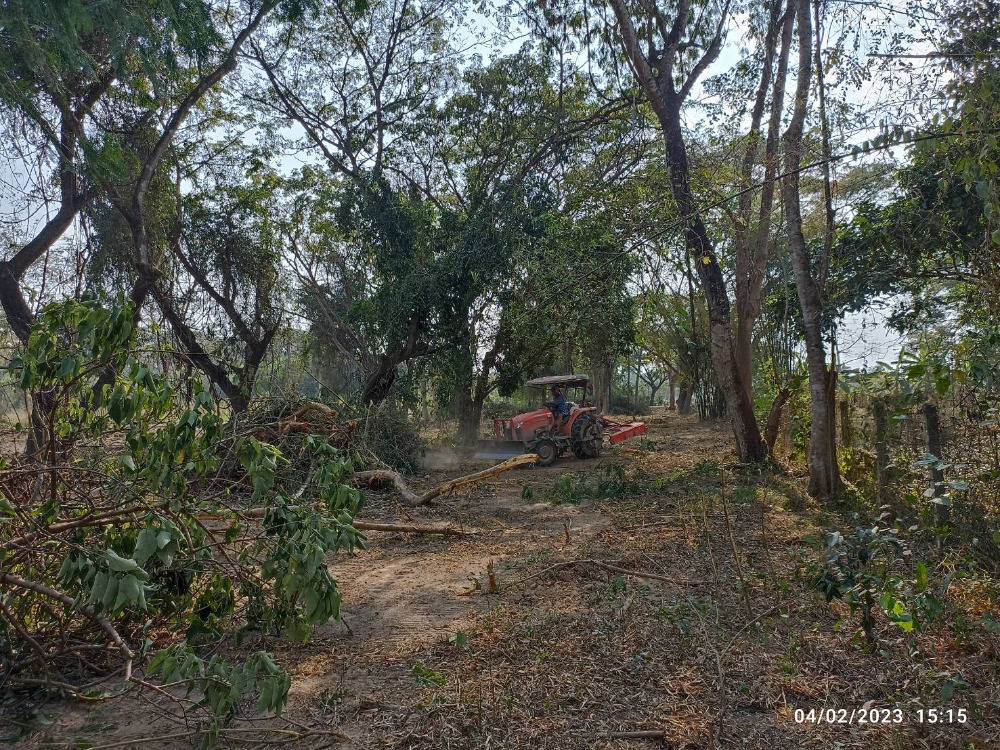 For SaleLandChiang Mai : Land for Sale - Riverside Land, San Sai, Chiang Mai