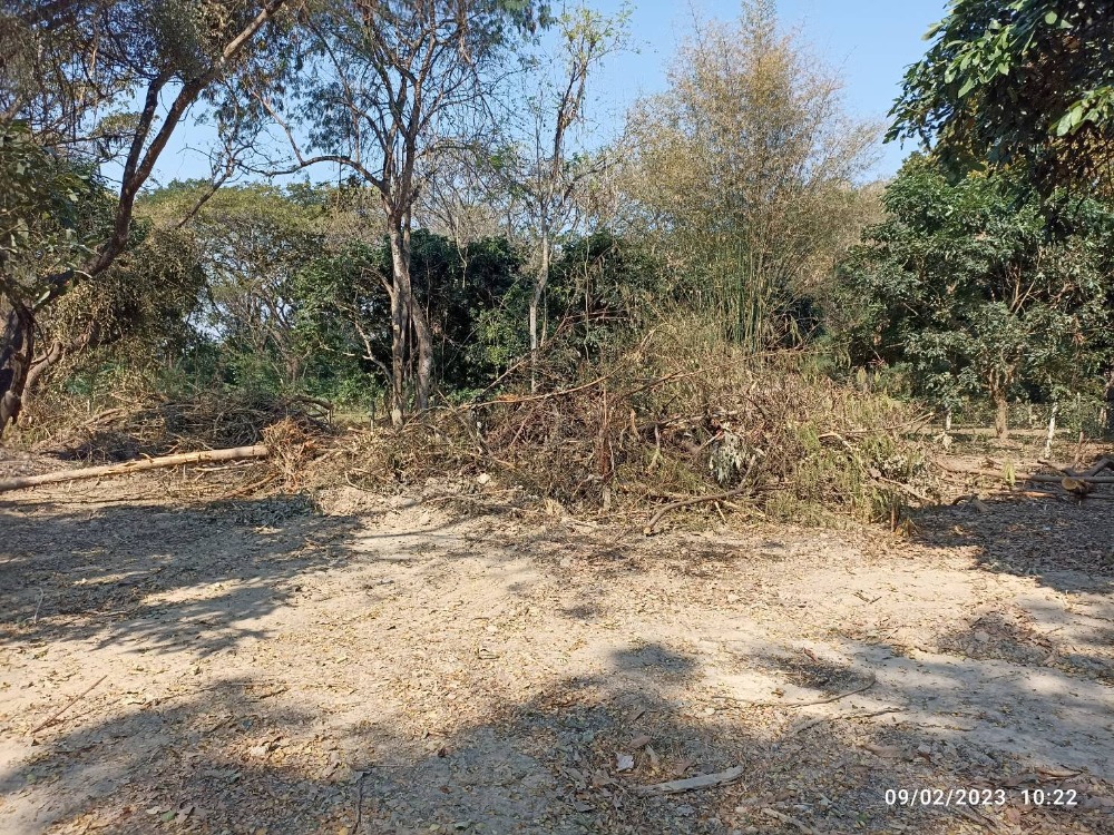 For SaleLandChiang Mai : Land for Sale - Riverside Land, San Sai, Chiang Mai