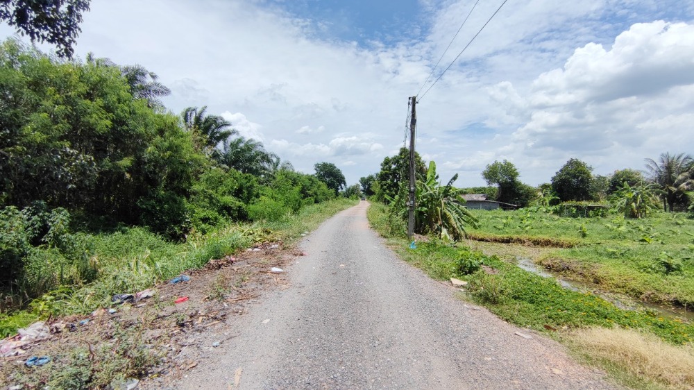 ขายที่ดินปทุมธานี รังสิต ธรรมศาสตร์ : ขาย ที่ดิน 44 ไร่ คลอง 13 หนองเสือ ปทุมธานี ใกล้ถนนเลียบคลอง มีไฟฟ้าและประปา