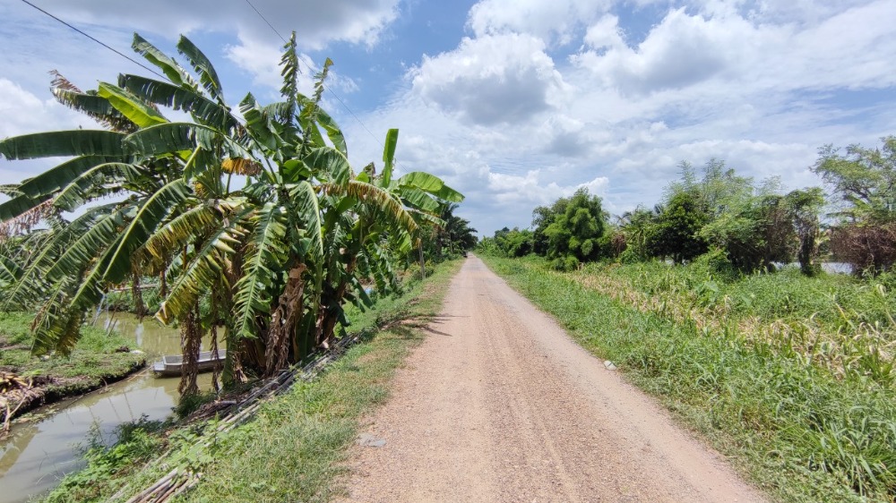 ขายที่ดินปทุมธานี รังสิต ธรรมศาสตร์ : ขาย ที่ดิน 44 ไร่ คลอง 13 หนองเสือ ปทุมธานี ใกล้ถนนเลียบคลอง มีไฟฟ้าและประปา