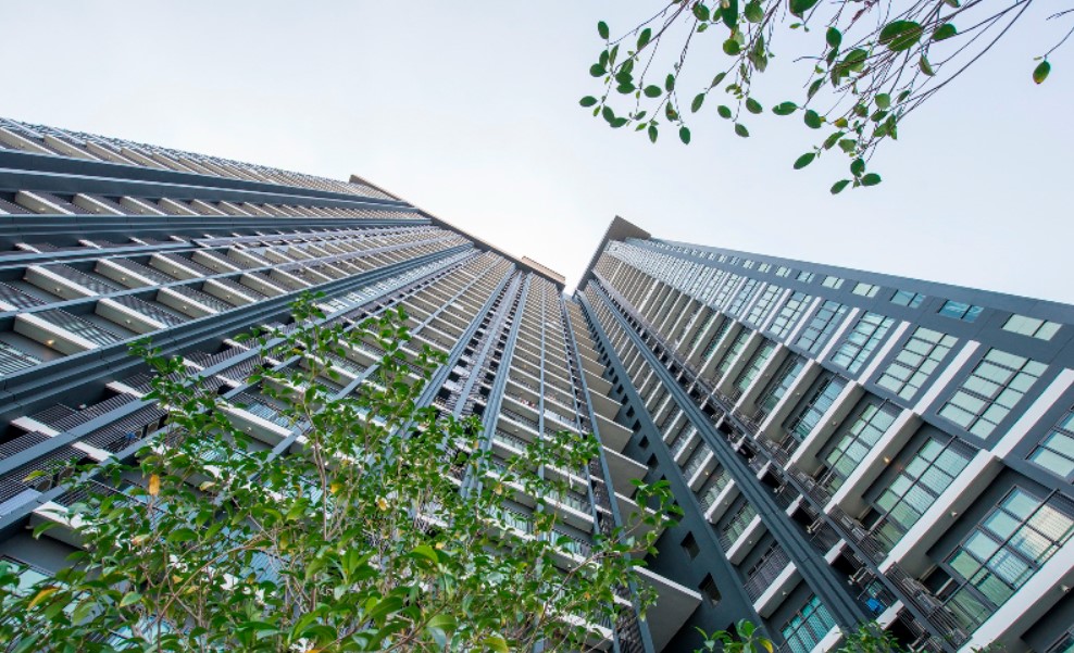 ขายคอนโดปิ่นเกล้า จรัญสนิทวงศ์ : [HOT PRICE] The Tree Rio ติดสถานี MRT บางอ้อ 0 เมตร สภาพห้องใหม่เอี่ยมเหมือนซื้อจากโครงการ