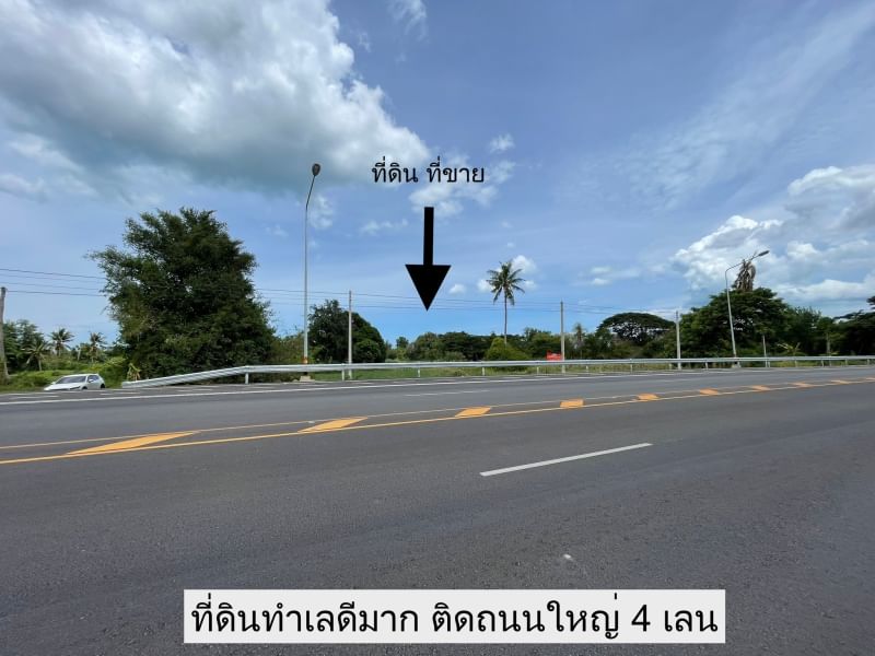 ขายที่ดินชะอำ เพชรบุรี : LD0266 ขาย ที่ดิน ติดถนนใหญ่คันคลอง 4 เลน ใกล้ถนนใหญ่เพชรเกษม #ที่ดินชะอำ #ที่ดินเพชรบุรี #ที่ดินติดถนนใหญ่