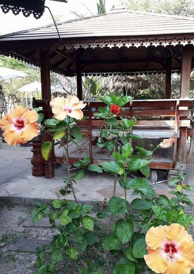 ขายบ้านลำปาง : ขายเรือนไทย 292ตร.วา อ.เกาะคา ลำปาง เหมาะทำโฮมสเตย์ เพียง 4.9 ล้านบาท