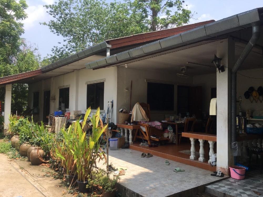 For SaleLandChiang Mai : For Sell‼️The land with houses and cafes next to the Ping River.