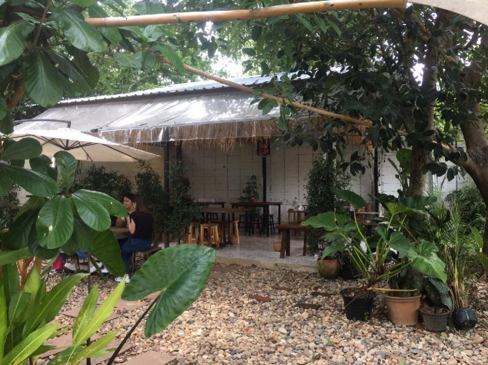 For SaleLandChiang Mai : For Sell‼️The land with houses and cafes next to the Ping River.