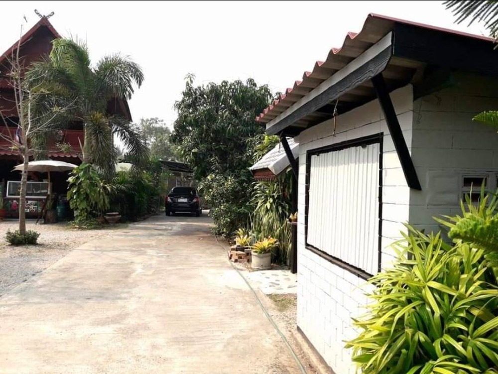 ขายบ้านลำปาง : ขายเรือนไทย 292ตร.วา อ.เกาะคา ลำปาง เหมาะทำโฮมสเตย์ เพียง 4.9 ล้านบาท