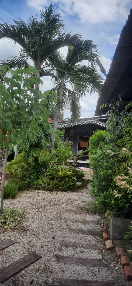 ขายบ้านลำปาง : ขายเรือนไทย 292ตร.วา อ.เกาะคา ลำปาง เหมาะทำโฮมสเตย์ เพียง 4.9 ล้านบาท