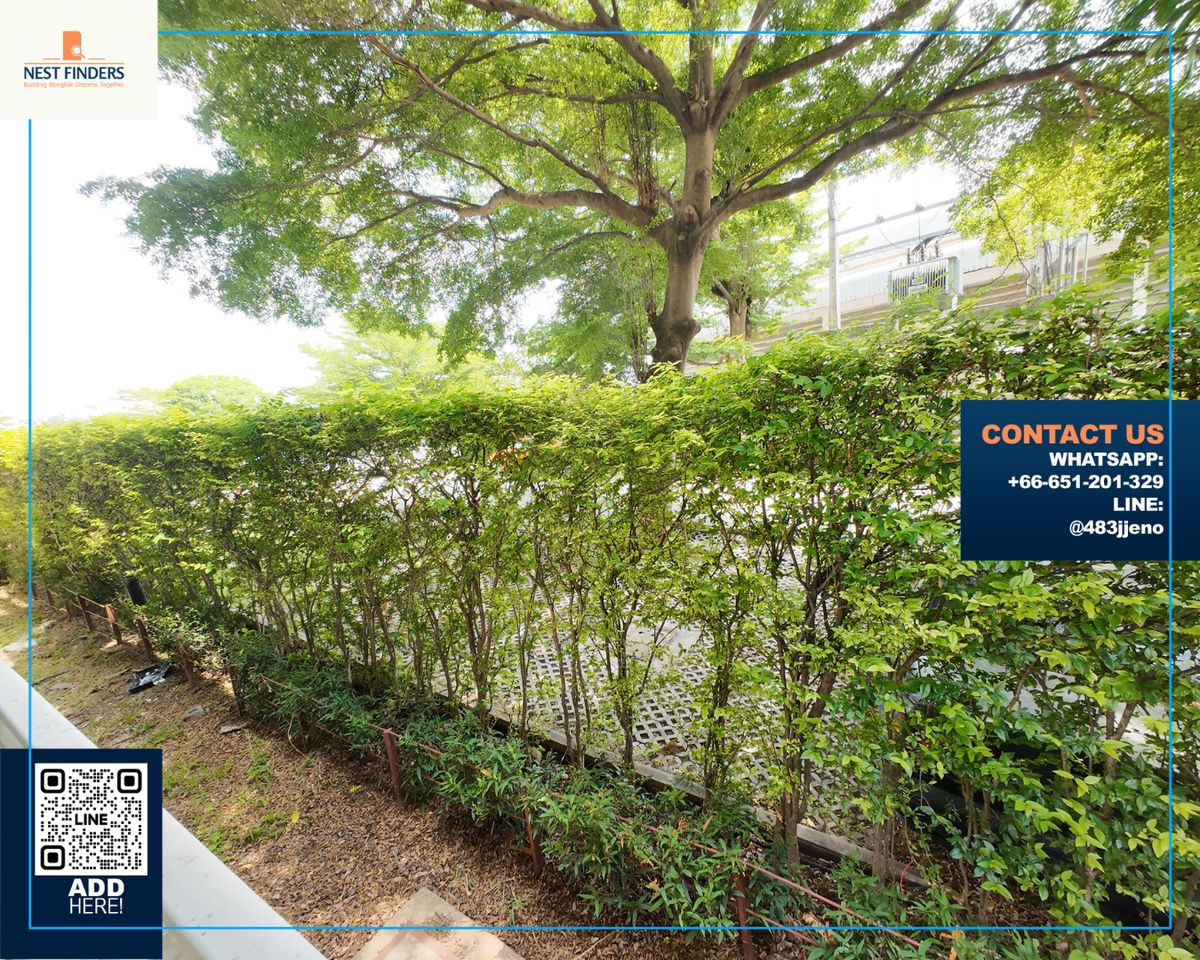 For SaleCondoPattanakan, Srinakarin : For sell condo the iris Rama9, foreigner quota