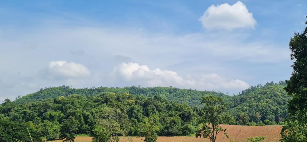 For SaleLandSaraburi : Urgent sale, beautiful land next to Khao Yai, very good price. Interested, can talk to an area of ​​8 rai than the environment. Next to the luxury giant Convenient location Can go in and out in many ways