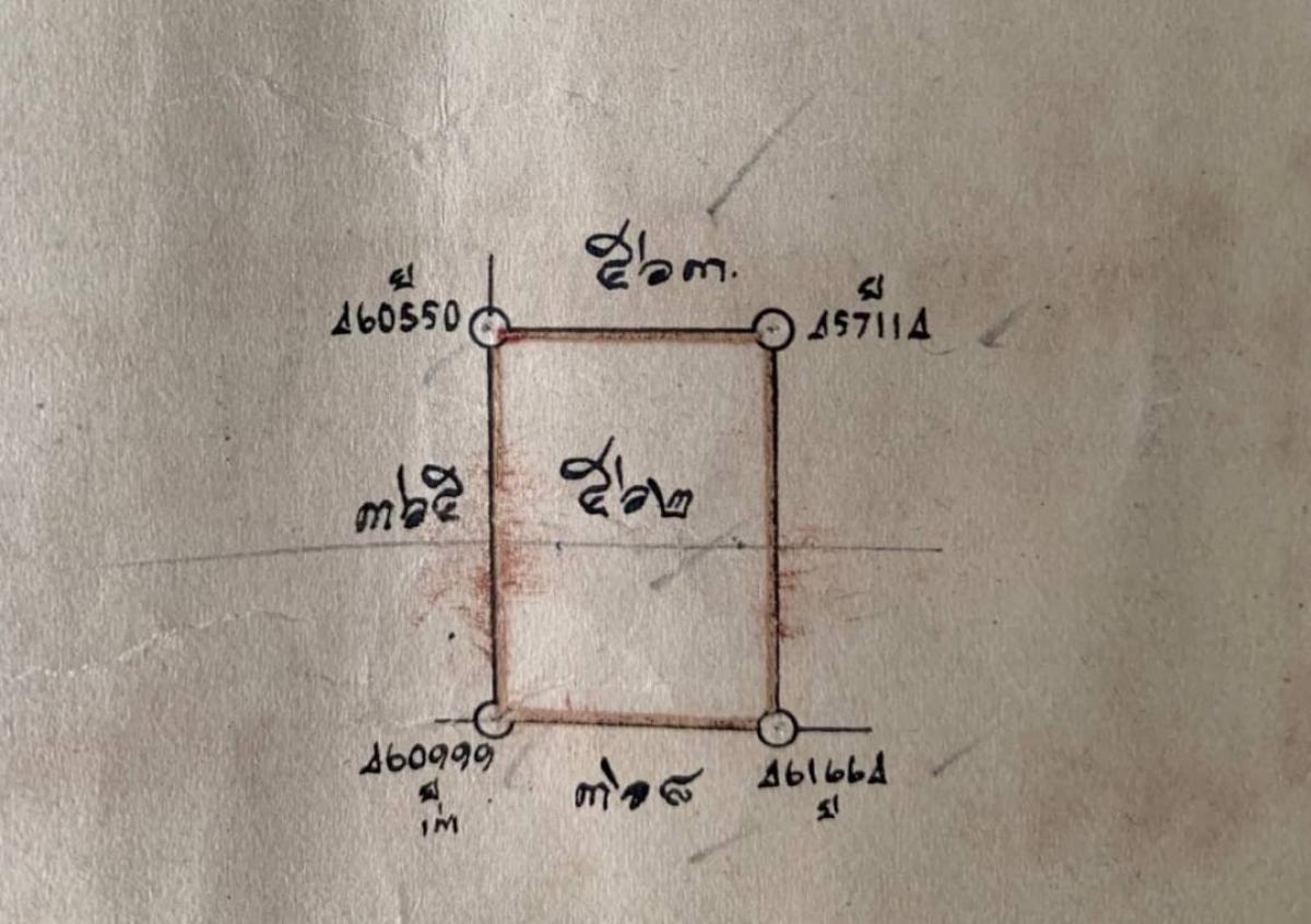 ขายที่ดินอ่อนนุช อุดมสุข : 🚩ขายที่ดินแปลงทำเลทอง สุขุมวิท 62 แยก 2 เพียง 180 เมตร ถึง BTS Bangjak / 600,000 บาท / Sq.w.