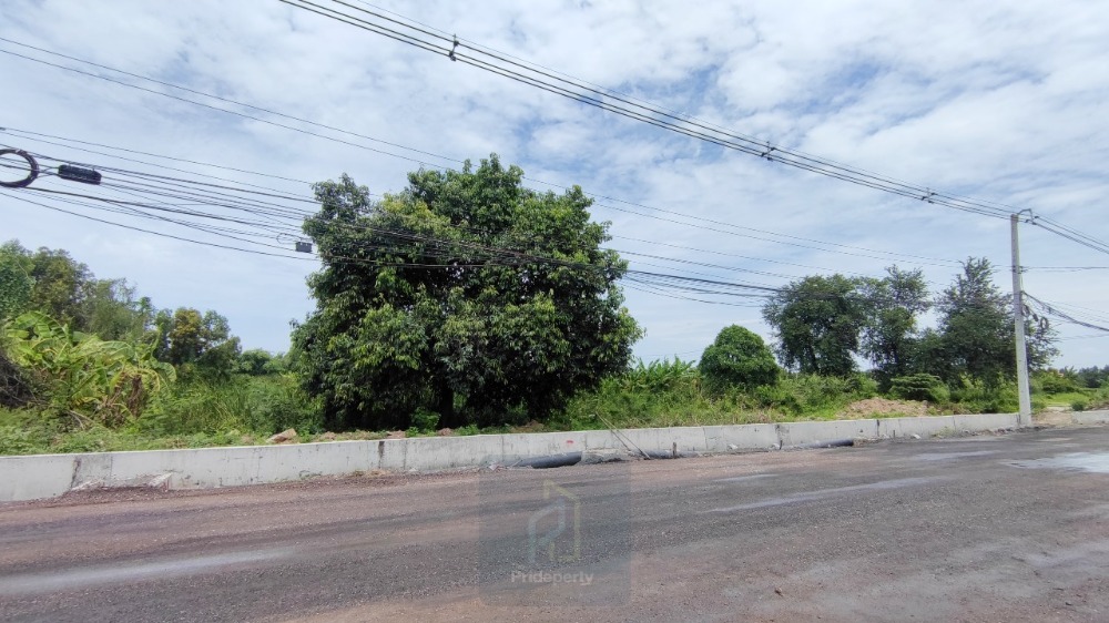 ขายที่ดินปทุมธานี รังสิต ธรรมศาสตร์ : ขาย ที่ดิน 56 ไร่ ลำลูกกา คลอง 7 ปทุมธานี ติดถนนใหญ่ เข้าจาก ถ.ลำลูกกา เพียง 5 กม.