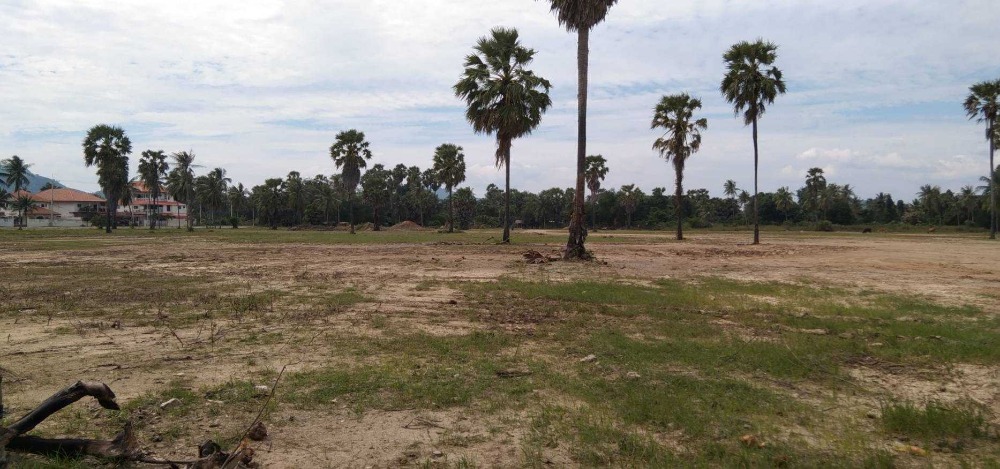 ขายที่ดินหัวหิน ประจวบคีรีขันธ์ : 🏖️ ขายที่สวย ริมทะเล ผืนใหญ่ 48 ไร่ 3 งาน 59.40 ตร.ว. ปราณบุรี,ประจวบคีรีขันธ์