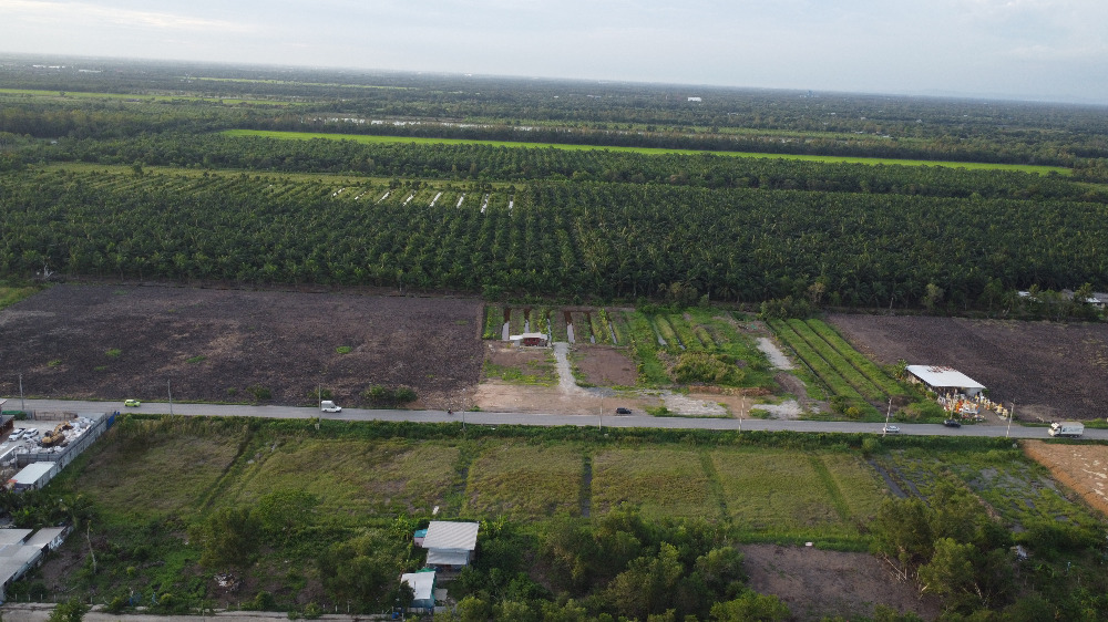 ขายที่ดินปทุมธานี รังสิต ธรรมศาสตร์ : ✨✨Update ที่ดินคลอง 9 หนองเสือ ขนาด 1 ไร่ ผังเมืองสีชมพู แปลงสุดท้าย ติดถนน 4001 ใกล้ตลาดทรัพย์มงคล (ตลาดคลอง9 เมืองใหม่) ทำเลการค้า ทำเลดี คุ้มที่สุด