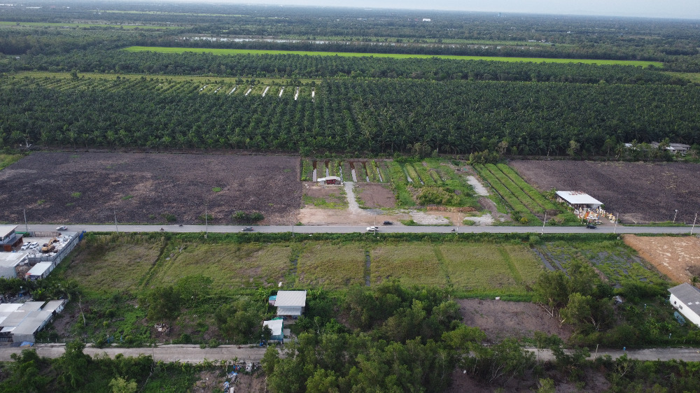 ขายที่ดินปทุมธานี รังสิต ธรรมศาสตร์ : ✨✨Update ที่ดินคลอง 9 หนองเสือ ขนาด 1 ไร่ ผังเมืองสีชมพู แปลงสุดท้าย ติดถนน 4001 ใกล้ตลาดทรัพย์มงคล (ตลาดคลอง9 เมืองใหม่) ทำเลการค้า ทำเลดี คุ้มที่สุด