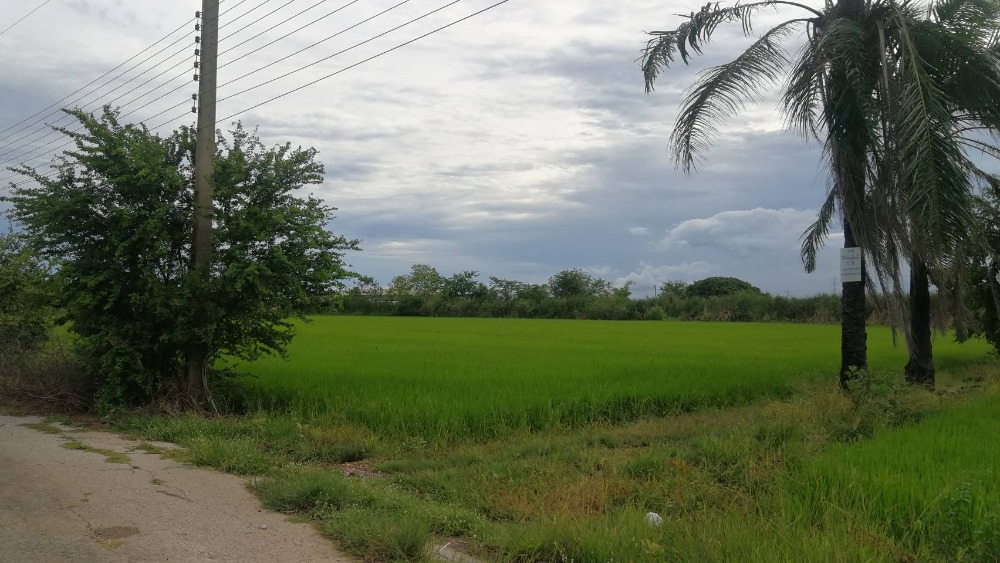 ขายที่ดินนครปฐม : ขายที่ดินสวนเกษตร2ไร่ ดอนตูม นครปฐม เหมาะทำบ้าน เกษตร ใกล้เมือง