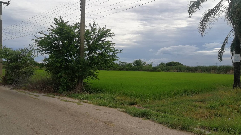 ขายที่ดินนครปฐม : ขายที่ดินสวนเกษตร2ไร่ ดอนตูม นครปฐม เหมาะทำบ้าน เกษตร ใกล้เมือง