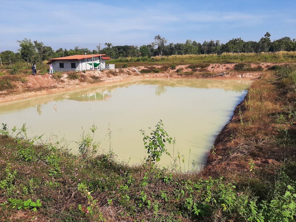 ขายที่ดินอุดรธานี : ขายที่ดิน 100 ไร่เศษ อุดรธานี อ.เพ็ญ เพียง 28ล้านบาท