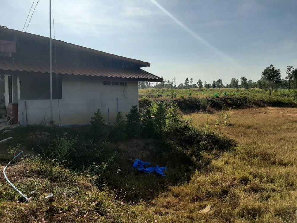 ขายที่ดินอุดรธานี : ขายที่ดิน 100 ไร่เศษ อุดรธานี อ.เพ็ญ เพียง 28ล้านบาท