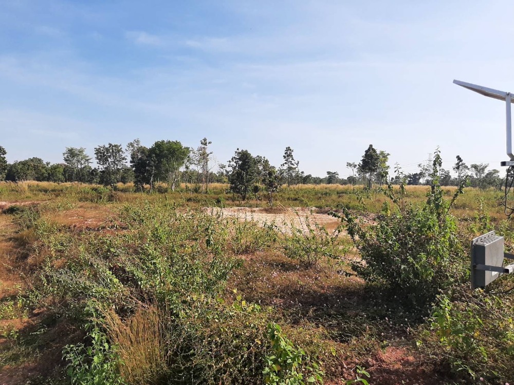 ขายที่ดินอุดรธานี : ขายที่ดิน 100 ไร่เศษ อุดรธานี อ.เพ็ญ เพียง 28ล้านบาท