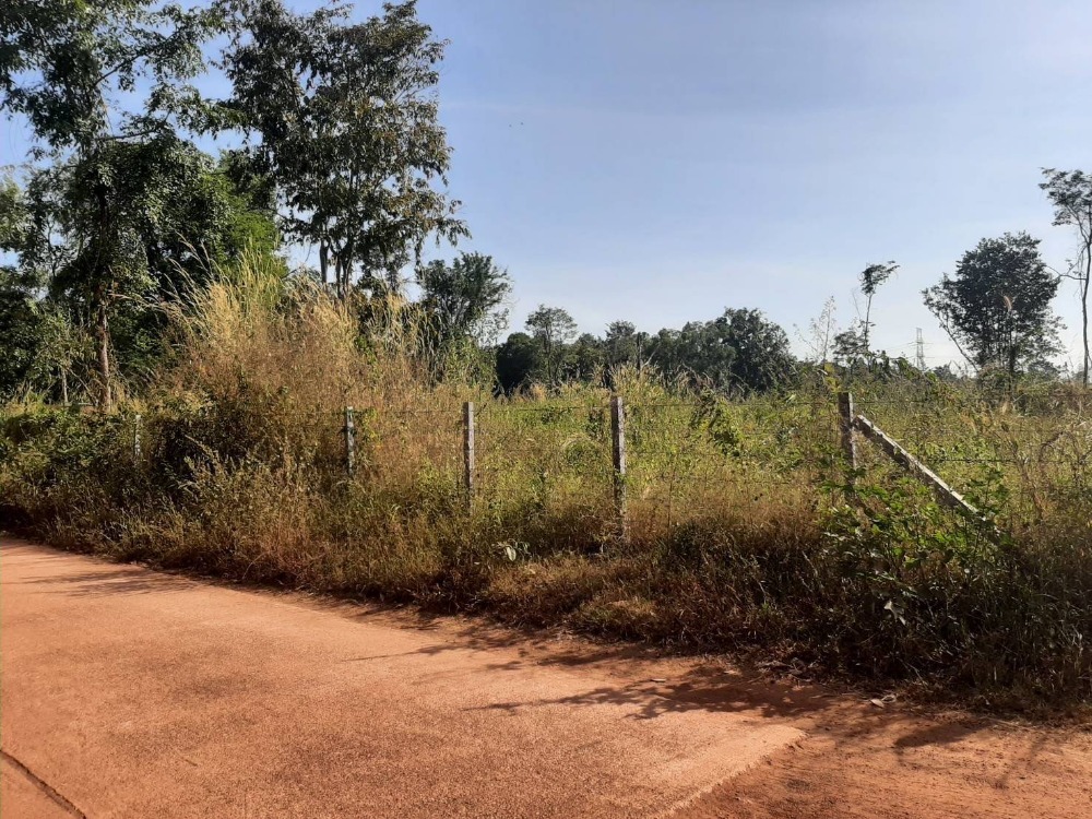 ขายที่ดินอุดรธานี : ขายที่ดิน 100 ไร่เศษ อุดรธานี อ.เพ็ญ เพียง 28ล้านบาท