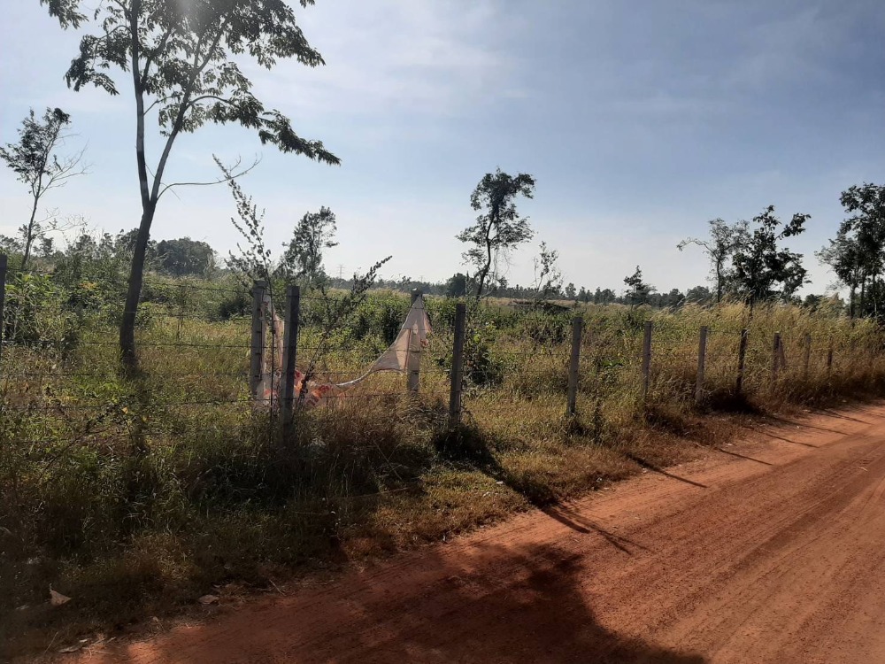 ขายที่ดินอุดรธานี : ขายที่ดิน 100 ไร่เศษ อุดรธานี อ.เพ็ญ เพียง 28ล้านบาท