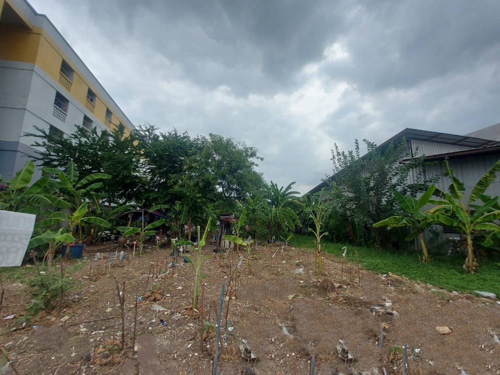 For SaleLandNawamin, Ramindra : Special price! Land for sale, 382 sq.wa, Soi Khubon 6, good location, near Fashion Island