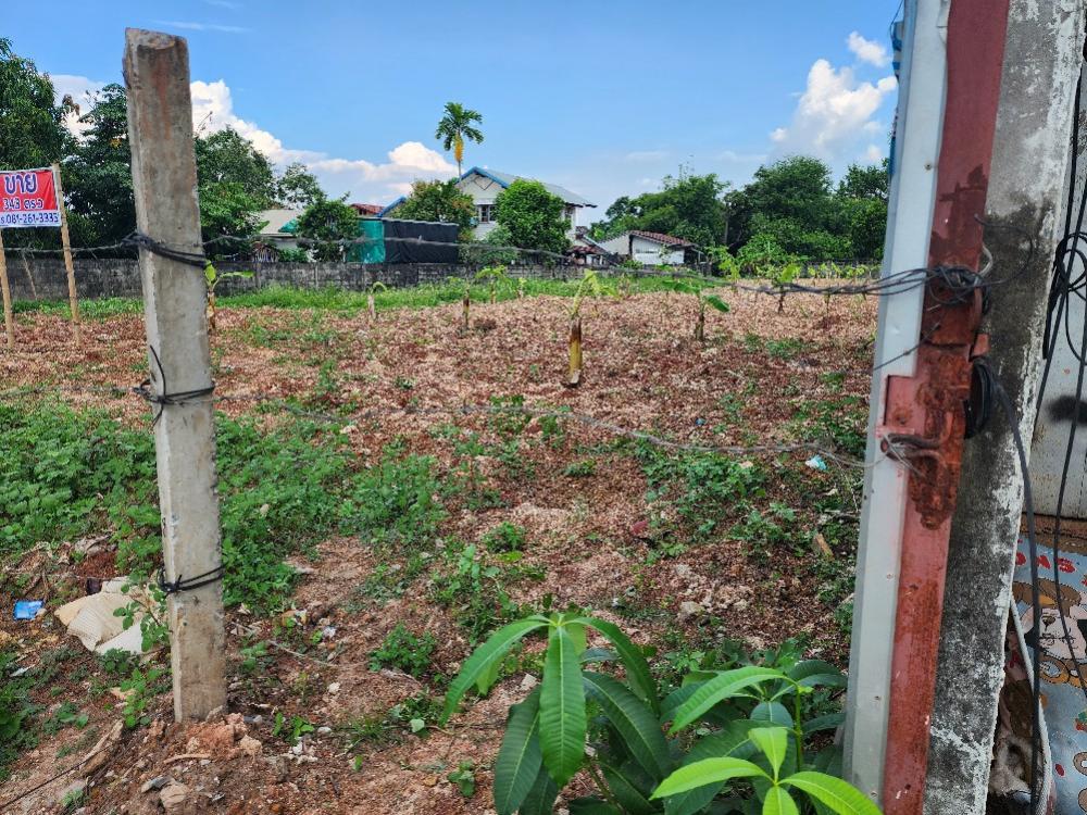 For SaleLandUdon Thani : Empty land for sale in Soi Rueang Rueang (horse race track), Udon Thani.