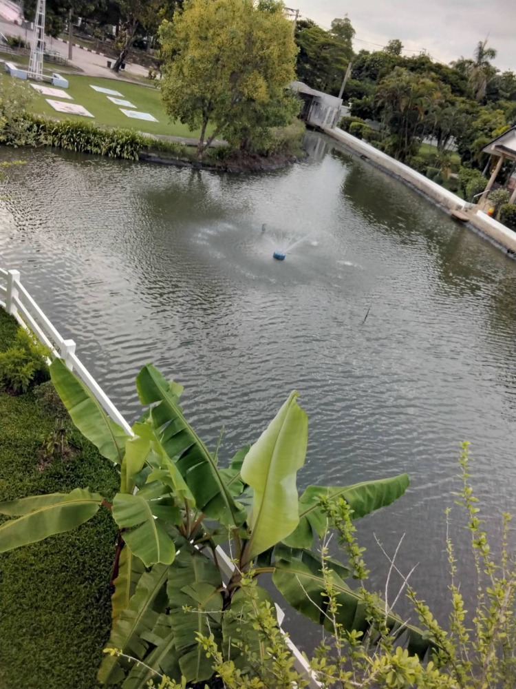 ให้เช่าบ้านสมุทรปราการ สำโรง : ให้เช่าบ้าน 4 ห้องนอน โครงการวินด์มิลล์พาร์ค บางนา