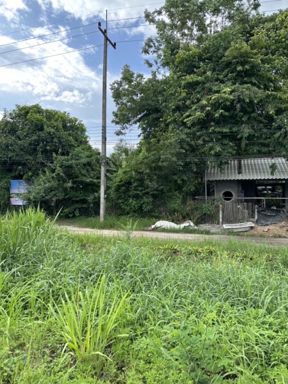 For RentLandChiang Mai : Land for rent (Bypass Road Mae Rim)