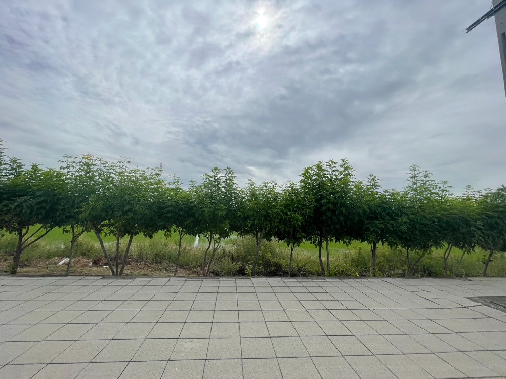 ขายที่ดินมีนบุรี-ร่มเกล้า : ที่ดิน ติดถนนหทัยราษฎร์ / 44 ไร่ 99 ตารางวา (ขาย), Land Hatairat Road / 44 Rai 99 Square Wa (FOR SALE) POON075