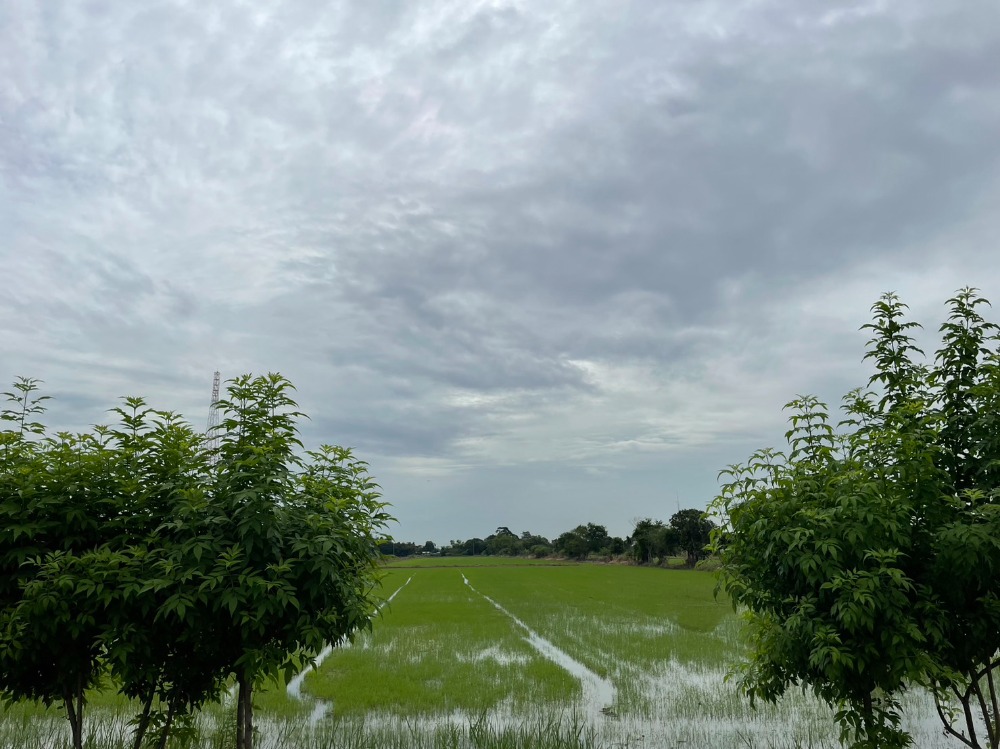 ขายที่ดินมีนบุรี-ร่มเกล้า : ที่ดิน ติดถนนหทัยราษฎร์ / 44 ไร่ 99 ตารางวา (ขาย), Land Hatairat Road / 44 Rai 99 Square Wa (FOR SALE) POON075