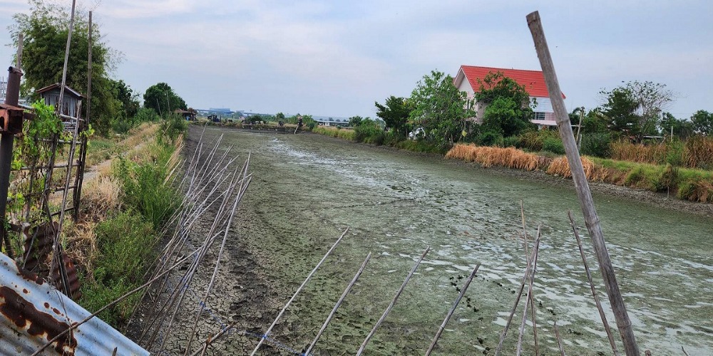 For SaleLandSamut Prakan,Samrong : Land for sale 49 rai 270 square wah, Bangna-Trad km.32, Ban Rakat, Bang Bo, Samut Prakan.