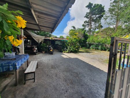 ขายบ้านอ่อนนุช อุดมสุข : ขาย บ้านเดี่ยว ขายบ้านพร้อมที่ดิน อ่อนนุช 46 ซอยดาราฉาย ถนนสุขุมวิท 77 เนื้อที่ 1 งาน 80 ตารางวา บ้านพร้อมที่ดิน 100 ตรม. 1 งาน 80 ตร.วา .