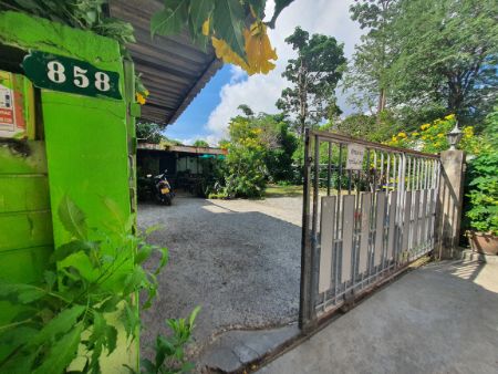 ขายบ้านอ่อนนุช อุดมสุข : ขาย บ้านเดี่ยว ขายบ้านพร้อมที่ดิน อ่อนนุช 46 ซอยดาราฉาย ถนนสุขุมวิท 77 เนื้อที่ 1 งาน 80 ตารางวา บ้านพร้อมที่ดิน 100 ตรม. 1 งาน 80 ตร.วา .