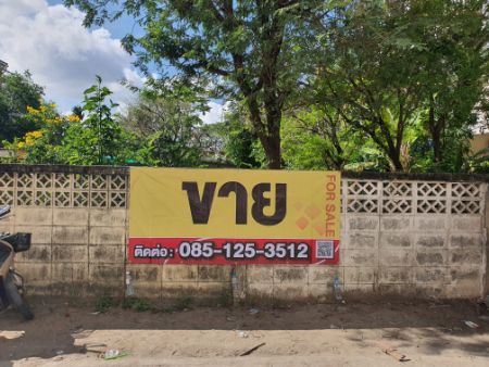 ขายบ้านอ่อนนุช อุดมสุข : ขาย บ้านเดี่ยว ขายบ้านพร้อมที่ดิน อ่อนนุช 46 ซอยดาราฉาย ถนนสุขุมวิท 77 เนื้อที่ 1 งาน 80 ตารางวา บ้านพร้อมที่ดิน 100 ตรม. 1 งาน 80 ตร.วา .