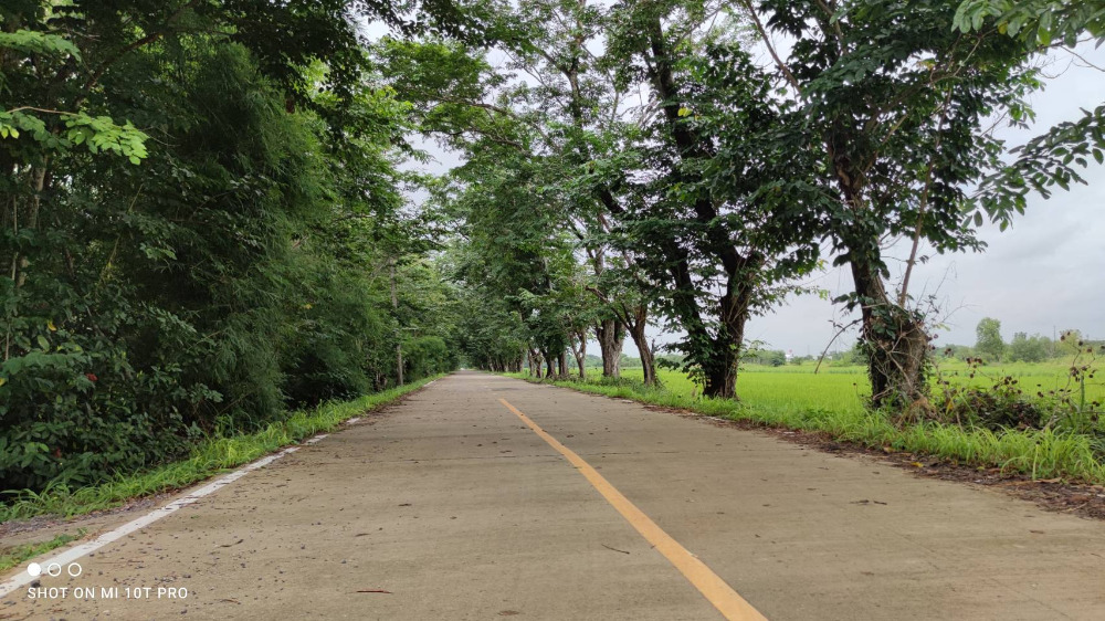 ขายที่ดินปทุมธานี รังสิต ธรรมศาสตร์ : 🎀ที่ดินคลองสิบ หนองเสือ ปทุมธานี เนื้อที่ 59 ไร่ ผังสีชมพู ทำเลทอง อยู่ติดหลัง ที่ว่าการ อ.หนองเสือ , สภ.หนองเสือ🎀