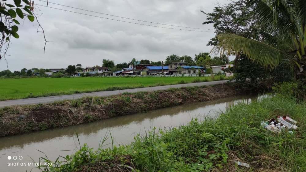 ขายที่ดินปทุมธานี รังสิต ธรรมศาสตร์ : 🎀ที่ดินคลองสิบ หนองเสือ ปทุมธานี เนื้อที่ 59 ไร่ ผังสีชมพู ทำเลทอง อยู่ติดหลัง ที่ว่าการ อ.หนองเสือ , สภ.หนองเสือ🎀